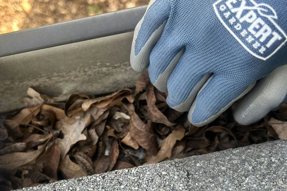 Gutter Cleaning Chicago