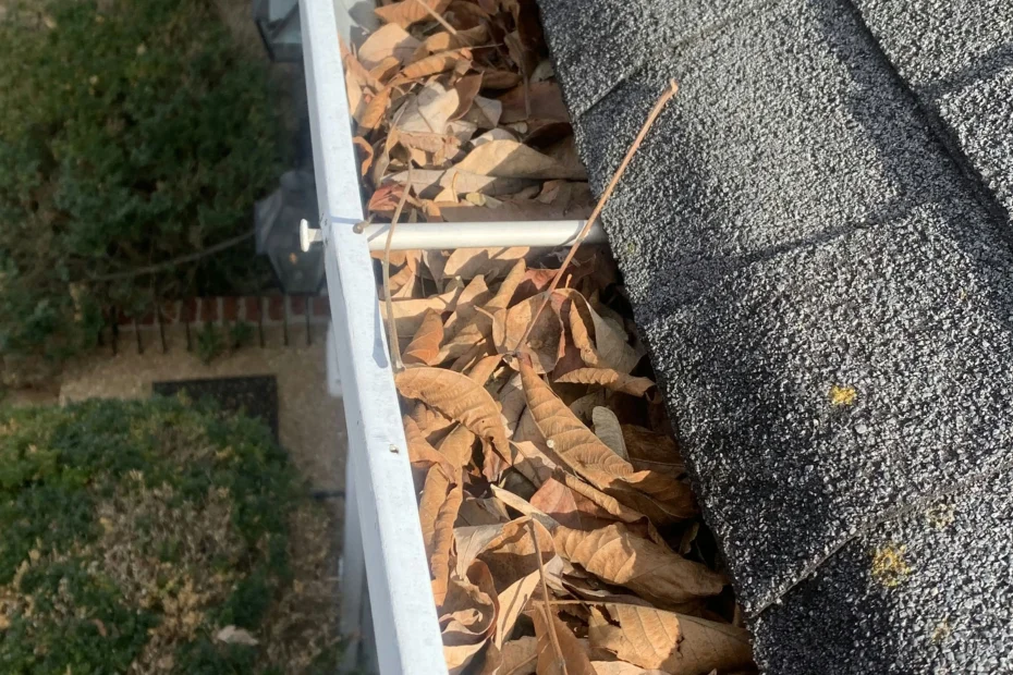 Gutter Cleaning Chicago