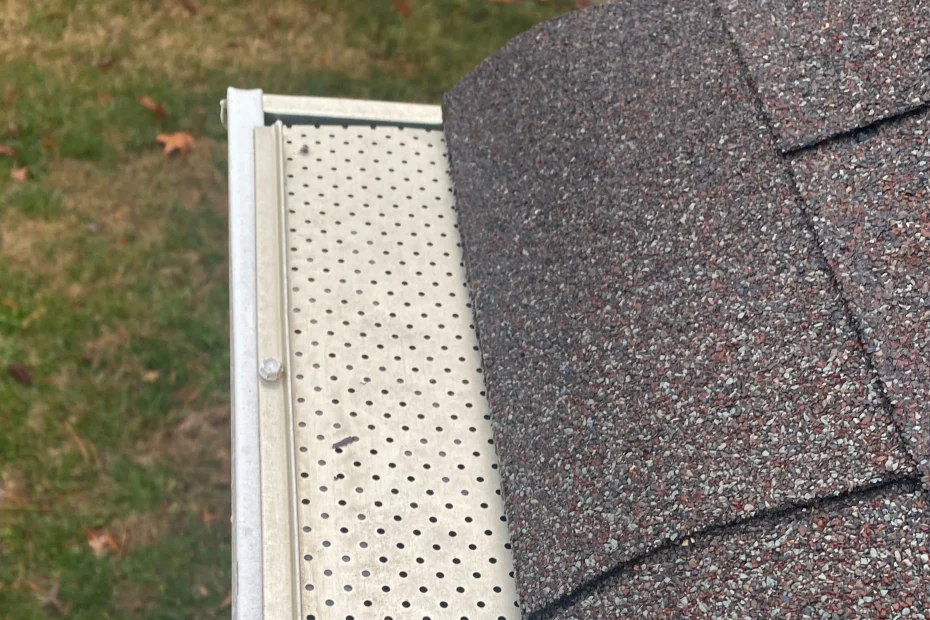 Gutter Cleaning Chicago