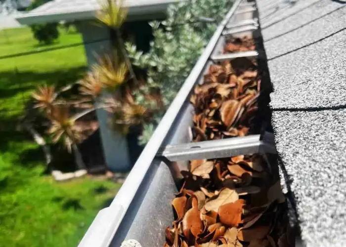 Gutter Cleaning Chicago home page